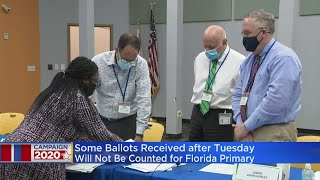 Highly Contested Race For Broward Supervisor Of Elections Heading To Recount [upl. by Obaza]