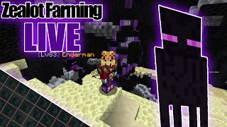 Zealot Farming Live  Hypixel Skyblock [upl. by Sagerman542]