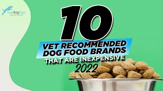 10 Vet Recommended Dog Food Brands That are Inexpensive 2022 [upl. by Watson]