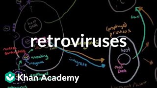 Retroviruses  Cells  MCAT  Khan Academy [upl. by Kynan]