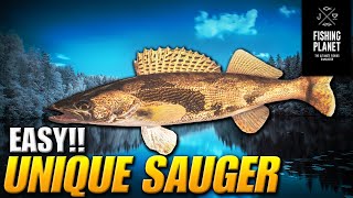 How to catch Unique Sauger on Emerald Lake  Fishing Planet [upl. by Jeana]