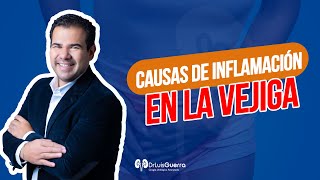 Cistitis  inflamación de Vejiga ¡Conoce sus Causas [upl. by Sorensen36]