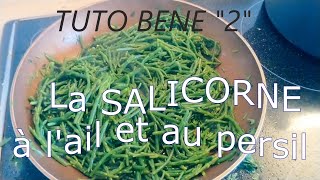 TUTO BENE quot2quot  LA SALICORNE [upl. by Nedah]