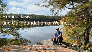 Homeostasis and Our Foundation of Wellness [upl. by Hairam]