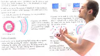 Liposomes Lipid vesicles [upl. by Nolte]