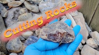 Cutting and Cabbing Rock Montana Agates and Waterline Agate Cabochons 133 and 134 [upl. by Maure290]