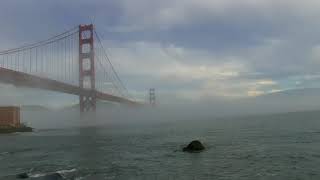 Foghorns on the Golden Gate Bridge Natural Sound 45mins [upl. by Atinhoj]