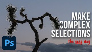 How to Make Complex Selections in Photoshop [upl. by Darrel747]