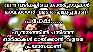 എല്ലാവരും ഓടി വരൂ 🥰 [upl. by Ettenotna]