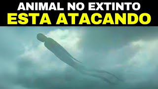 Animales Mortales Que Le Alegrará Saber Que Están Extintos [upl. by Azeria]