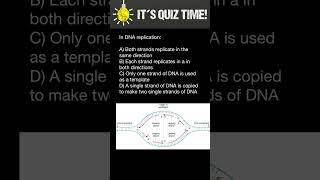 DNA Replication [upl. by Terrena273]