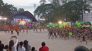 PADIGOSAN FESTIVAL 2023 GRAND CHAMPION  ENTRY 3 RIZAL CENTRAL ELEM SCHOOL KAPATAGAN DIGOS CITY [upl. by Yslehc433]