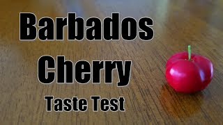 Barbados Cherry Taste Test [upl. by Linus391]