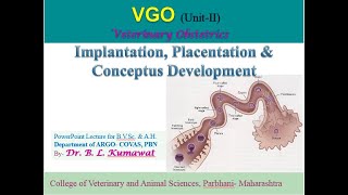 Conceptus Development Part1 Early Embryonic Development I Vet Academy by Dr Kumawat B L II [upl. by Llerret]