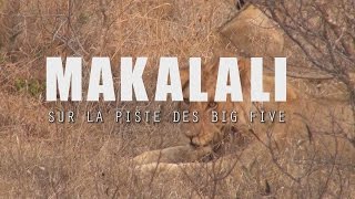 Makalali Private Game Lodge [upl. by Adnohsirk842]