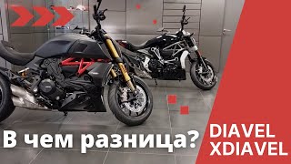 В чем разница Diavel и XDiavel [upl. by Annig]