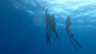 Katabasis Freediving Level 1 Course 22 June 2023 Day 4 [upl. by Schwejda]