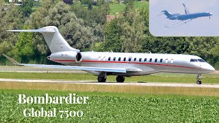 Bombardier Global 7500 VistaJet Circling Approach amp Landing [upl. by Anrehs]