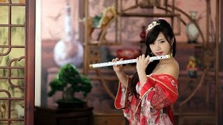 Beautiful Chinese music Instrument  Endlesslove 10 different songs [upl. by Nylqcaj]