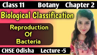 Reproduction Of Bacteria Class 11 Botany Biological Classification Lecture 5CHSE Odisha [upl. by Keslie]