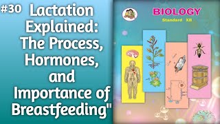 Lactation Explained The Process Hormones and Importance of Breastfeeding l lactation [upl. by Anwahsad]