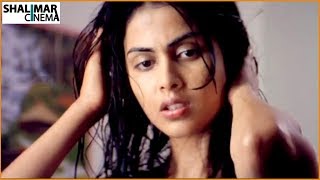 Genelia DSouza Scenes Back to Back  Latest Telugu Movie Scenes  Shalimarcinema [upl. by Othello]