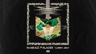 Shabazz Palaces  Harem Aria [upl. by Enovahs766]