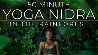 Yoga Nidra Rainforest Sounds [upl. by Enilarac353]