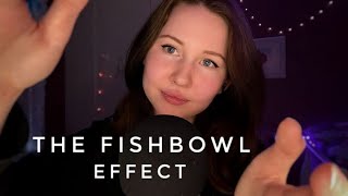 ASMRThe Fishbowl Effect🐠✨mostly inaudible whispering [upl. by Areek]