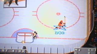 NHL 96 Cheat [upl. by Ria832]