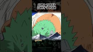 How did Zoro survive Luffys pain onepiece [upl. by Dorin]