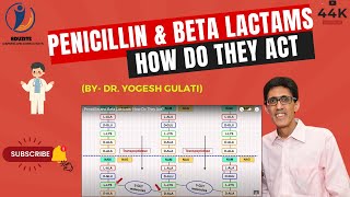 Penicillin and Beta Lactams How Do They Act [upl. by Nosliw736]