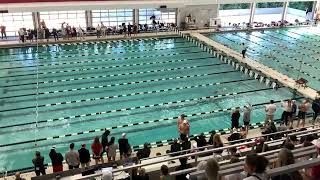 Women 200 Breast Heat 2 [upl. by Meadows465]