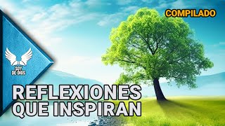 MARATÓN Reflexiones de la Vida  Dios Amor y Espiritualidad en Nuestro Diario Vivir  Soy De Dios [upl. by Rosette94]