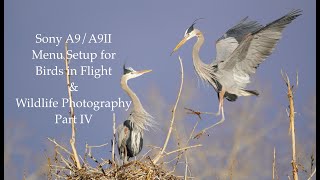 Sony A9A9II Menu Setup for Birds in Flight amp Wildlife Photography  Part 4 of 5 [upl. by Luas892]