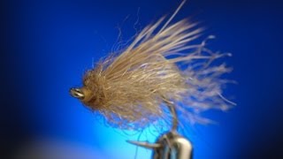 Emergent Sparkle Pupa  Fly tying lesson video tutorial by Curtis Fry [upl. by Genvieve]