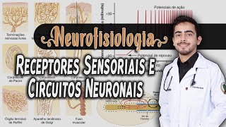 Fisiologia  Receptores Sensoriais e Circuitos Neuronais Capítulo 4746 PARTE 12│ GUYTON [upl. by Cohleen]