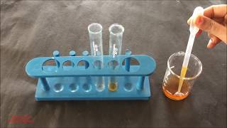 Phytochemical Test for Tannins English  Tannins Identification Test  Tannins Phytochemical Test [upl. by Ayocal946]