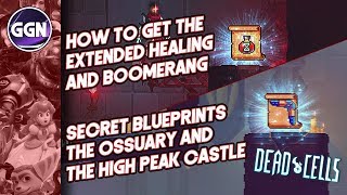 How to get the Extended Healing and Boomerang  Secret Blueprints  Dead Cells [upl. by Goldarina131]