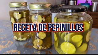 Receta de pepinillos encurtidos mas fácil y rápida [upl. by Atiken274]