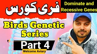 Love birds Genetic Series Part 4  Free Course  dominate and recessive genes  Welcome Aviary [upl. by Yllitnahc]