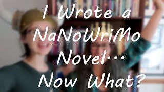 I Wrote a NaNoWriMo Novel Now What [upl. by Robert]