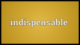 Indispensable Meaning [upl. by Madriene]