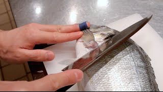 GRAPHIC  How to fillet a fish  Sea bream  Japanese technique  クロダイのさばき方 [upl. by Roderich]