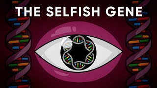 What Is The Genes Eye View of Evolution Stated Clearly [upl. by Eselehs]