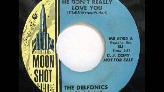 The Delfonics  He Dont Really Love You 1968 [upl. by Naaitsirhc357]