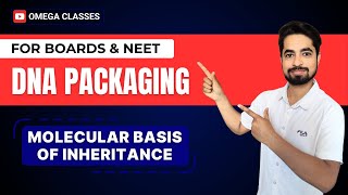 DNA PACKAGING  MOLECULAR BASIS OF INHERITANCE  CLASS 12  CBSE NEET  OMEGA CLASSES [upl. by Ahsikcin638]