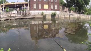 Fishing for Bass at the Manayunk Canal and the Schuylkill River ManayunkPhiladelphia PA [upl. by Dottie472]