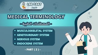 Musculoskeletal  genitourinary system  nervous system  endocrine system 02  هلا مرزوق ✨ [upl. by Ahso732]