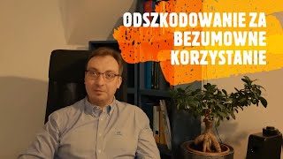 Jak dochodzić odszkodowania za bezumowne korzystanie z nieruchomości [upl. by Dorelle972]